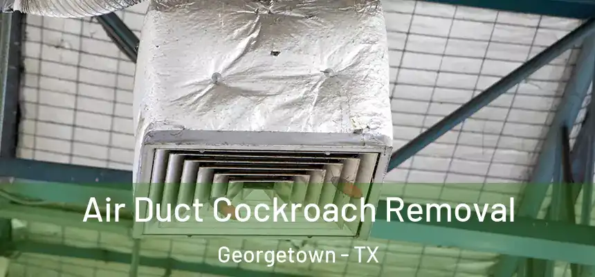 Air Duct Cockroach Removal Georgetown - TX