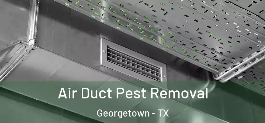 Air Duct Pest Removal Georgetown - TX