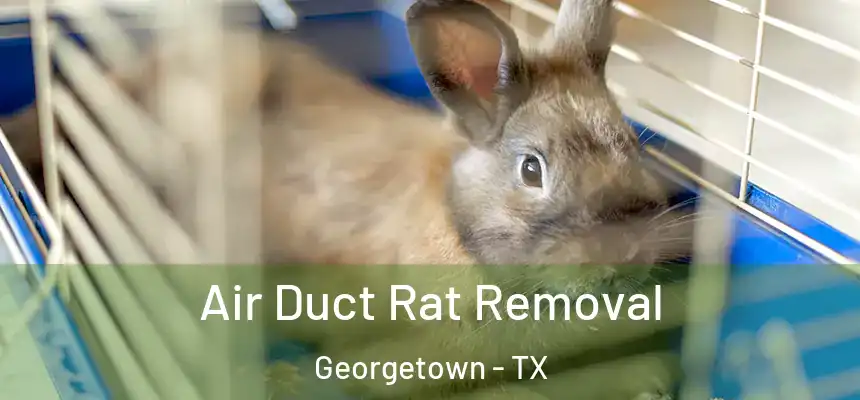 Air Duct Rat Removal Georgetown - TX