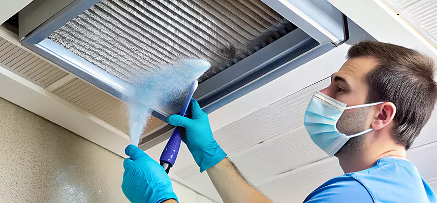 Proactive Dryer Vent & Auxiliary Duct Pollen Cleanup in Georgetown, TX