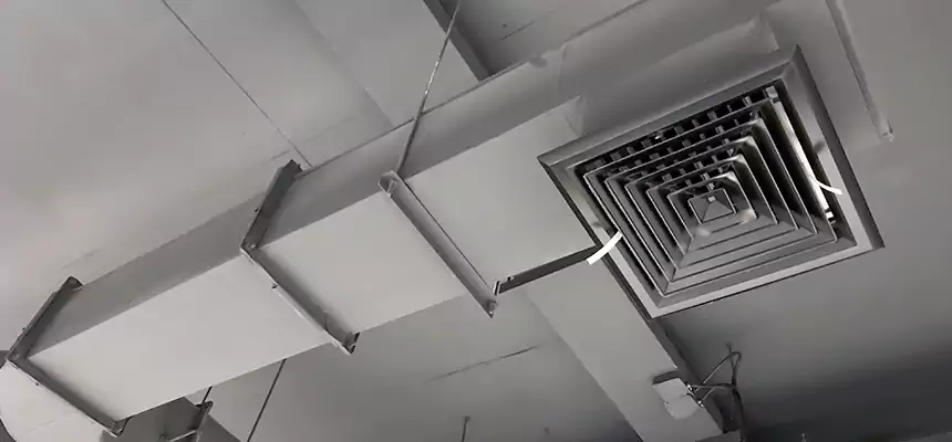 Our Pest Removal From Ducts Services in Georgetown, TX