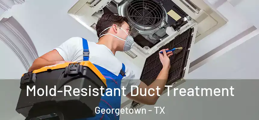 Mold-Resistant Duct Treatment Georgetown - TX