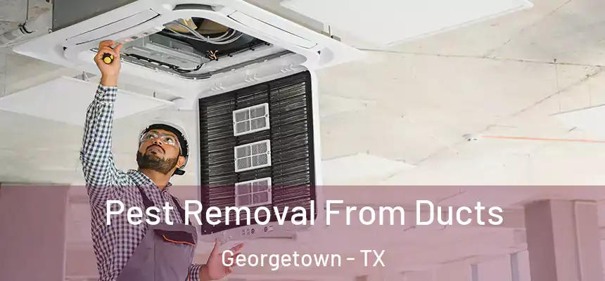 Pest Removal From Ducts Georgetown - TX