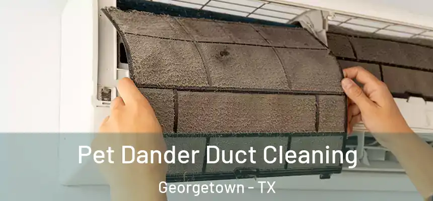 Pet Dander Duct Cleaning Georgetown - TX