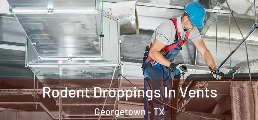 Rodent Droppings In Vents Georgetown - TX
