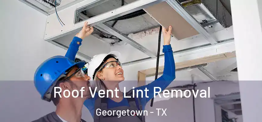 Roof Vent Lint Removal Georgetown - TX