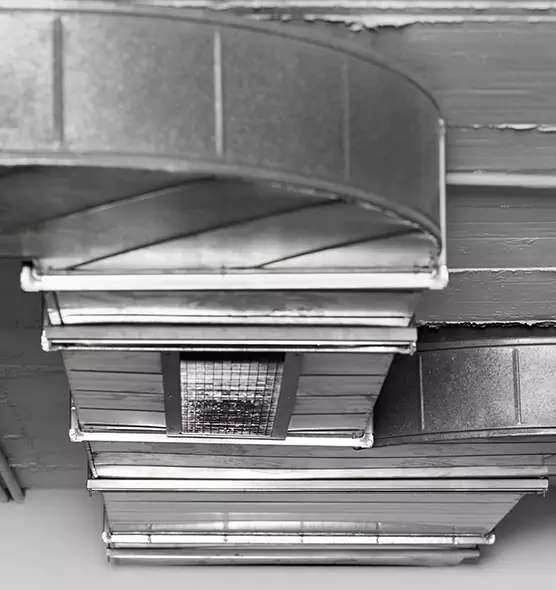 Professional Air Duct Pet Hair Removal in Georgetown, TX