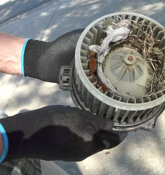 About Air Duct Rat Removal in Georgetown, TX