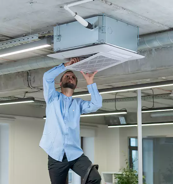 Advanced Rodent Droppings In Vents in Georgetown, TX