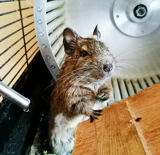 Why Homeowners & Businesses Trust Us Georgetown, TX