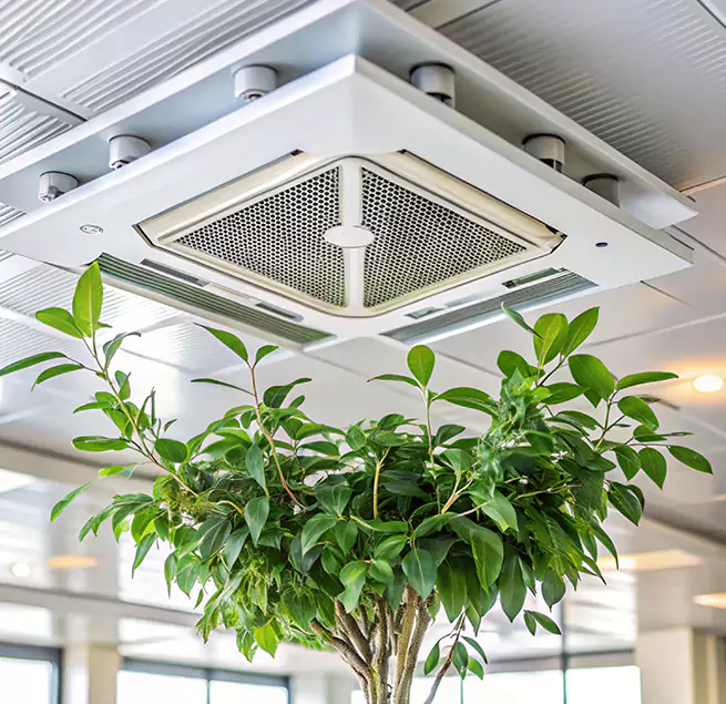 Why Homeowners & Businesses Trust Us in Georgetown, TX?